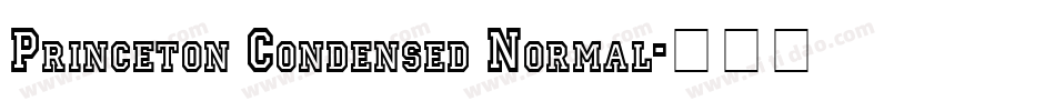 Princeton Condensed Normal字体转换